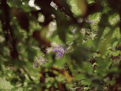 Elger Esser, Ninfa - Θέσπεα (Thespia), 2014
Directprint, AluDibond, Shellac, 183 x 231 x 4,5 cm, Unique copy, Courtesty: Galerie Thaddaeus Ropac Paris/Salzburg © Elger Esser