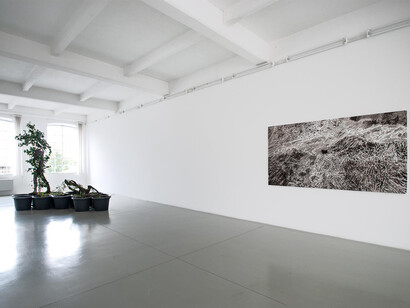 Various artists, Galleria Tucci Russo, 50th anniversary: October 1975 – October 2025, exhibition view. Courtesy of Galleria Tucci Russo