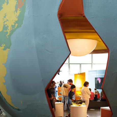 Earthquake. Courtesy of California Academy of Sciences