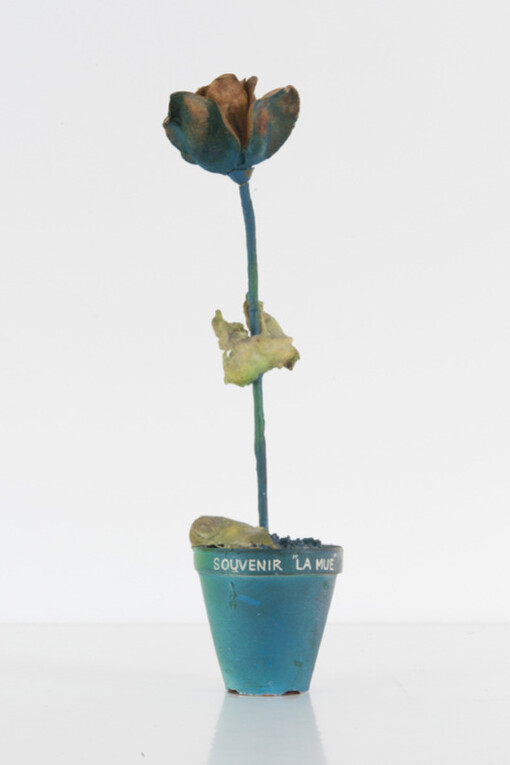 De humani corporis fabrica. Courtesy of Christophe Gaillard