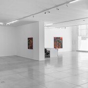 Jorge Guinle Filho, Infinito, exhibition view. Courtesy of Galeria Simões de Assis