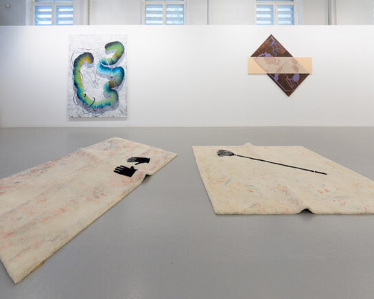 The seed can be initialized randomly II, Exhibition view. Courtesy of Temnikova & Kasela 