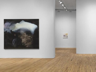 Emma McIntyre, This body holds, swamp stuff, exhibition view. Courtesy of David Zwirner Gallery