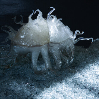 Andrzej Staniek, Absent visitors. Courtesy of Krupa Gallery