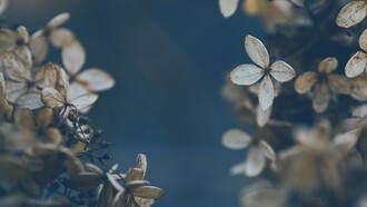 What I love about November