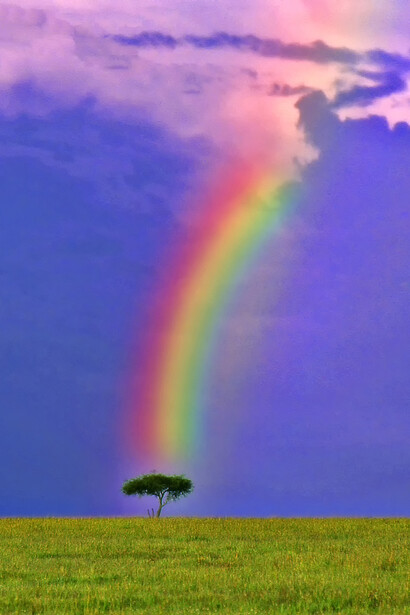 Kenya. Parco del Serengeti. Ph Sergio Pessolano