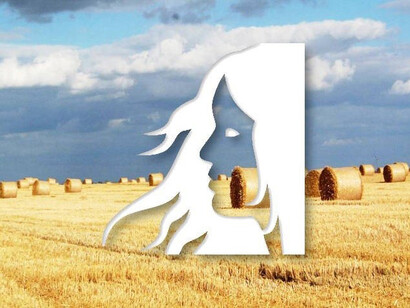 La concretezza della Vergine