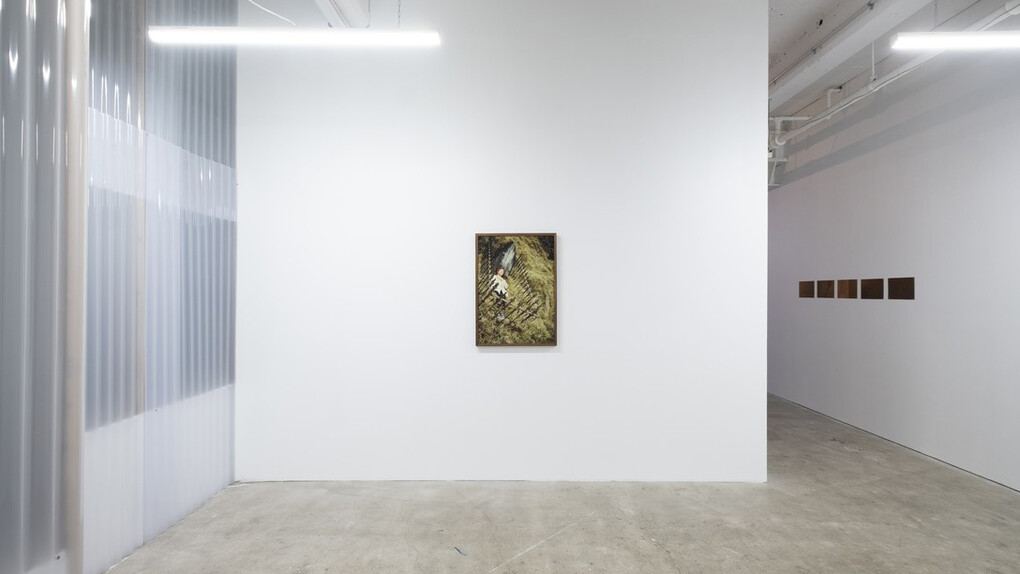 Lily Worrall, moon iron wings, exhibition view. Courtesy of Enjoy Contemporary Art Space