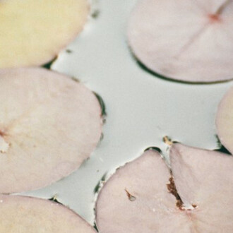 Glanz. Courtesy of Galerie Peter Sillem