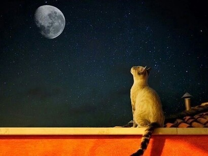 Luna @Alberto Baruffi.com