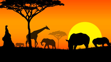 Animales en la puesta del sol