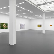 Tauba Auerbach, Easy assembly, exhibition view. Courtesy of Esther Schipper