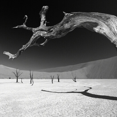 Chris Simpson. Courtesy of Atlas Gallery