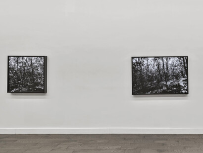 Choi Soowhan, Promenades in light, exhibition view. Courtesy of Friedrichs Pontone Gallery