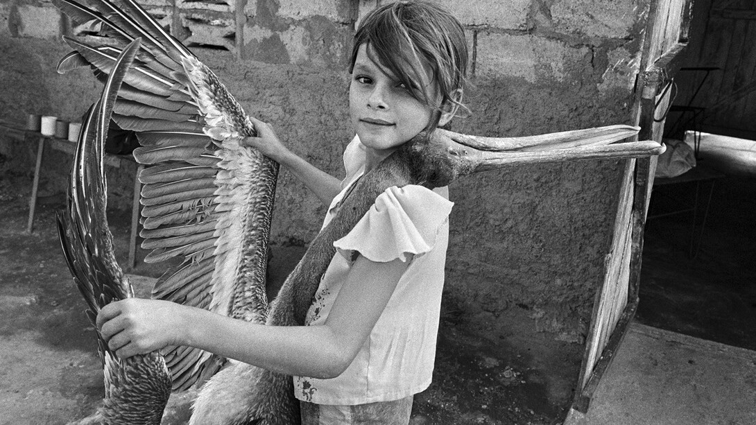 Raúl Cañibano, de la serie Tierra Guajira
