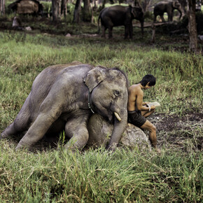Steve McCurry. Courtesy of MUDEC