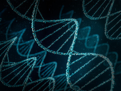 Estruturas biológicas. A próxima geração de pesquisas em biologia estrutural provavelmente abraçará a biologia celular