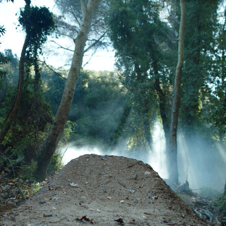 Wu Tsang, One emerging from a point of view, 2019
Überlappende Zweikanal-Projektionen, 5.1 Surround Sound
43 Min.
Courtesy: die Künstlerin; Galerie Isabella Bortolozzi; Cabinet & Antenna Space