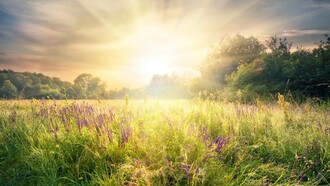 Il rispetto della natura