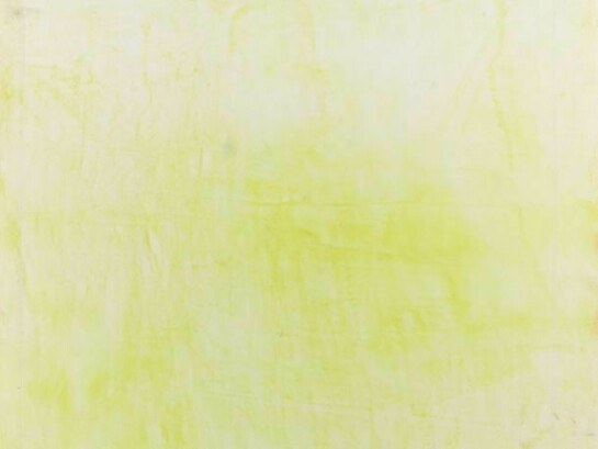 Jessica Dickinson, Of: Now (detail), 2013, Pastel, graphite and gouache on paper, 49 1/4 x 42 in. (125.1 x 106.68 cm)