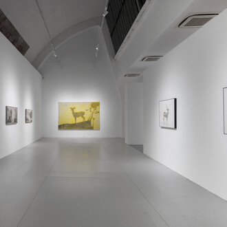 Tang Hui, Forms and scenery, exhibition view. Courtesy of Tokyo Gallery + BTAP