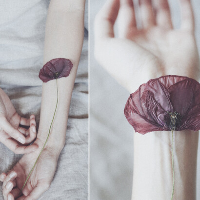 Photo by Annaophotography  
