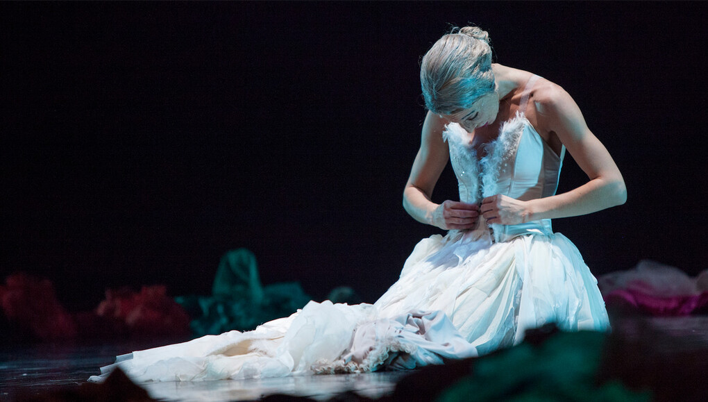Il lago dei cigni. Foto Matteo Carratoni