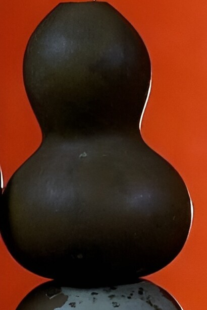 Jícaros del árbol "crescentia cujete", Joaquín Orellana