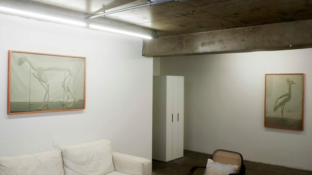 OJardim, Exhbition view. Courtesy of Galeria Mezanino