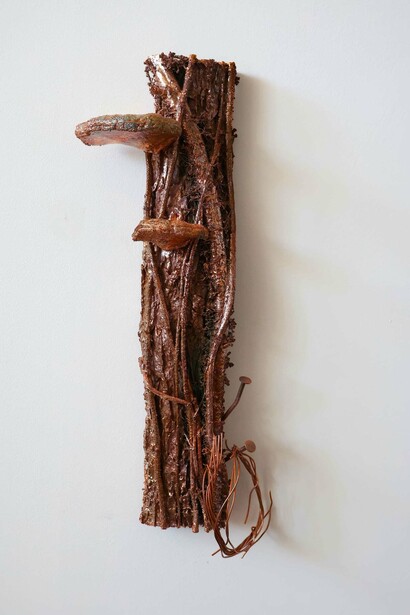 Richard Klein, American elm, 2025. Courtesy of Kenise Barnes Fine Art