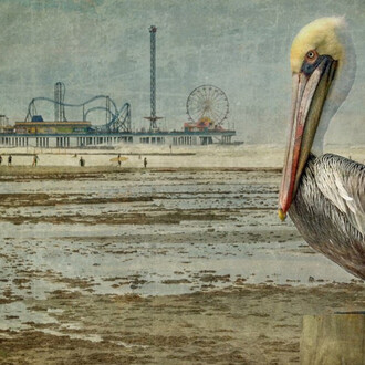 Dale Niles. Courtesy of Brickworks Gallery