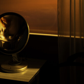 Tania Franco Klein, Rounded mirror, eindow, (self-portrait). Courtesy of Tania Franco Klein and Rosegallery
