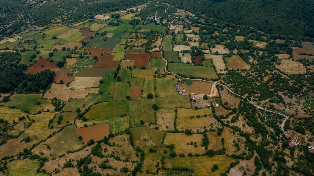 Historicamente, Portugal tem sofrido de uma lacuna estrutural ao nível do cadastro predial. Durante décadas, muitos prédios, em especial os rústicos localizados em zonas do interior, não se encontravam corretamente registados ou identificados, o que resultava num território desorganizado e numa enorme dificuldade em planear, proteger e investir de forma eficaz. A ausência de informação sobre os limites dos terrenos e sobre quem são os respetivos proprietários tem contribuído para o abandono rural, para a fragmentação extrema da propriedade e para a proliferação de situações de indefinição legal, que dificultam a concretização de políticas públicas e privadas