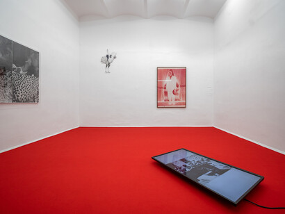 Exhibition view Frida Orupabo, KOENIG2 by_robbygreif, Vienna 2020 
© Photo: Philipp Friedrich

