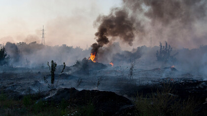 Nadia Toffa ha fatto per questa terra devastata molto di più di ciò che avrebbero dovuto fare politici e istituzioni 