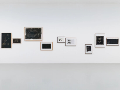 Maximilian Prüfer, Nebenlinien – 15 Jahre Naturantypie, ausstellungsansicht. Mit freundlicher genehmigung der Galerie Kandlhofer