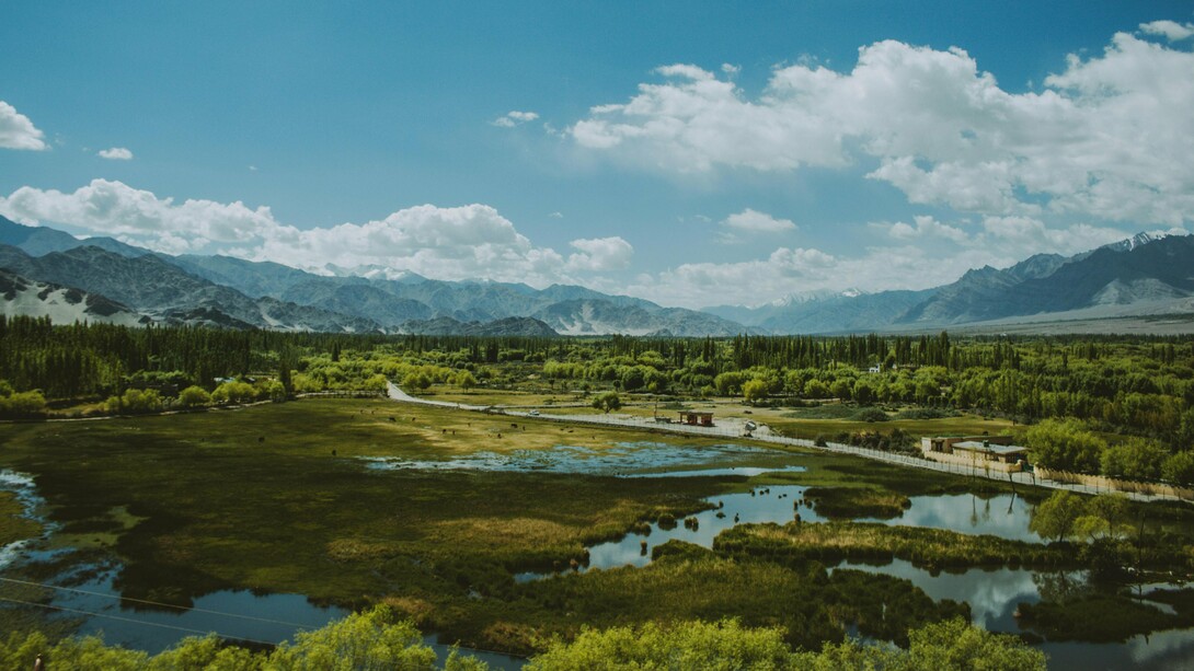 Una terra vergine, incontaminata