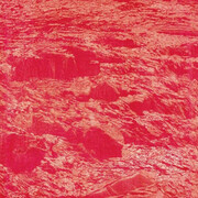 Franz Gertsch, Portraits and nature pieces II. Courtesy of Museum Franz Gertsch