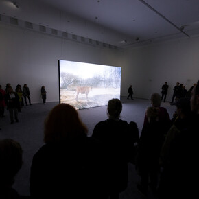 Rachel Rose. Courtesy of Fondazione Sandretto Re Rebaudengo