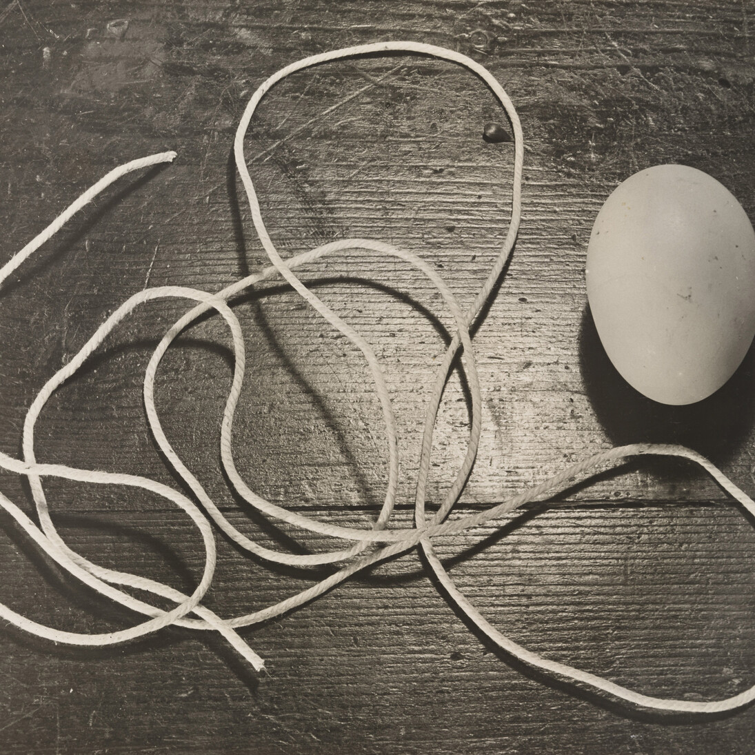 Horacio Coppola. Still Life with Egg and Twine, detail, 1932. Gelatin silver print. 8 1/8 x 10 1/8″ (20.7 x 25.7 cm). The Museum of Modern Art, New York. Thomas Walther Collection. Acquired through the generosity of Peter Norton. © 2015 Estate of Horacio Coppola