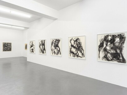 William Tucker, Charcoal Drawings
Installation view. Buchmann Galerie, 2017