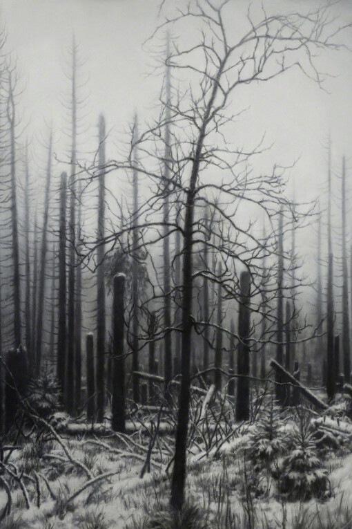 Monochrome. Courtesy of Barnard Gallery