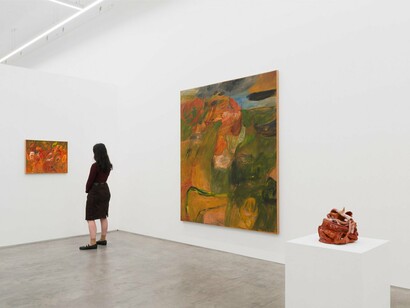 Soumya Netrabile, Field conditions, exhibition view. Courtesy of Anat Ebgi