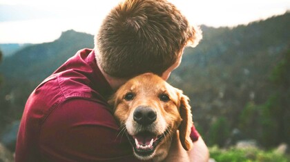 A canine and human bonding with one another