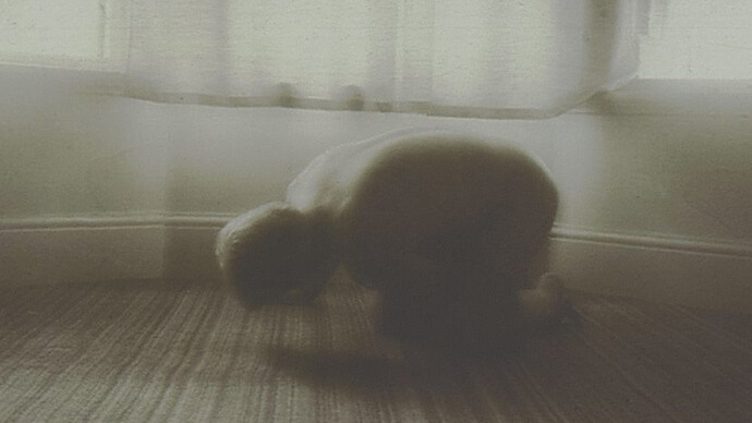 Pat Brassington. Courtesy of Art Gallery of NSW