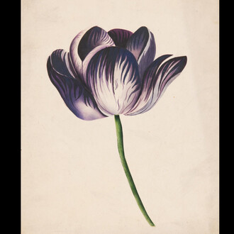 Work in Hand. Courtesy of Sydney Living Museums