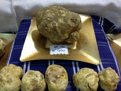 Tartufo bianco in vendita