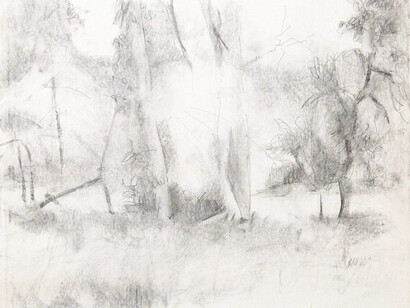 Andy Brennan, Abandoned Orchard Study – Creekside (detail). Pencil on paper, 14 x 17 in, 35.6 x 43.2 cm. Courtesy of Eleanor Harwood Gallery