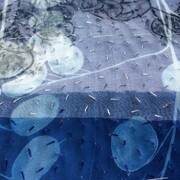 Detail of Honesty Skyline by Pauline Burbidge. Photo PB