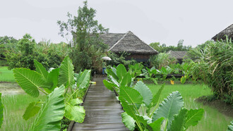 Walkways are constructed over rehabilitated paddy fields © Gehan de Silva Wijeyeratne